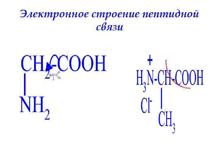 Электронное строение пептидной связи 