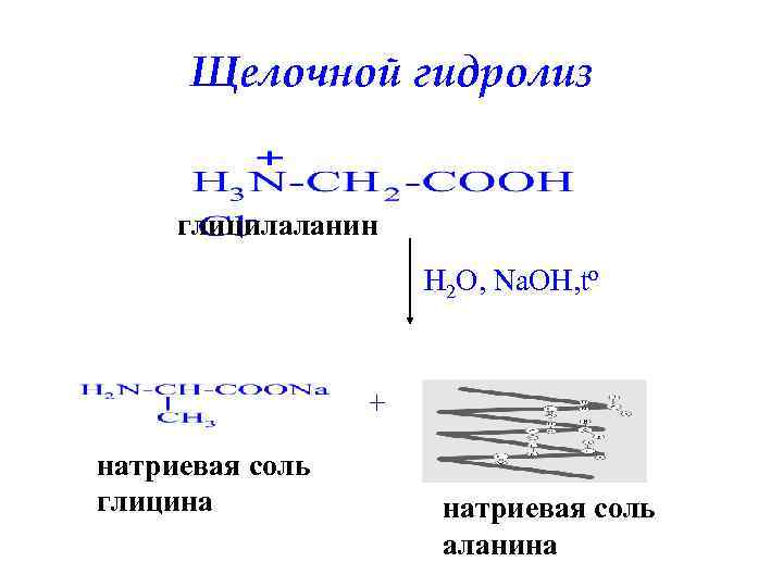 Гидролиз глицилаланина