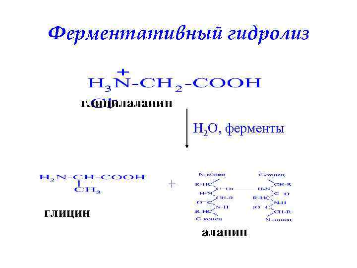 Гидролиз глицилаланина. Реакция гидролиза глицилаланина. Щелочной гидролиз глицина. Глицилаланин гидролиз. Глицин аланин гидролиз.