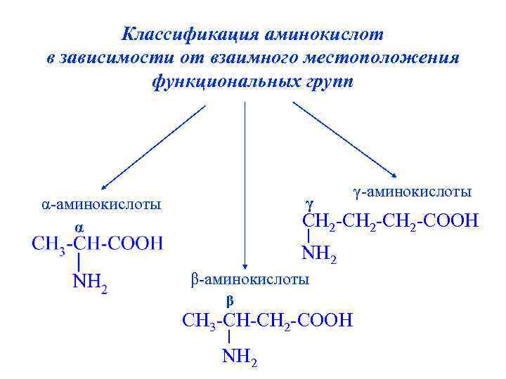 Классификация аминов схема