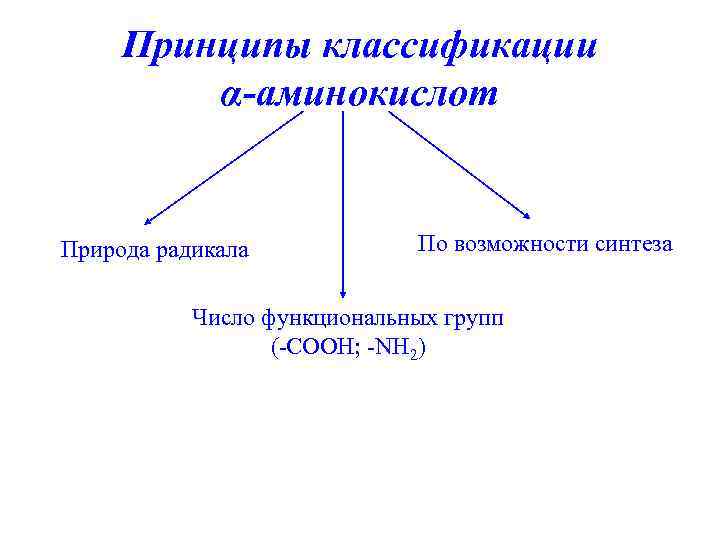 Принципы классификации α-аминокислот Природа радикала По возможности синтеза Число функциональных групп (-СООН; -NH 2)