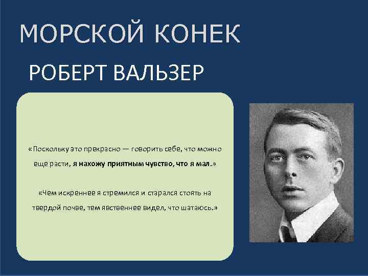 МОРСКОЙ КОНЕК РОБЕРТ ВАЛЬЗЕР «Поскольку это прекрасно — говорить себе, что можно еще расти,