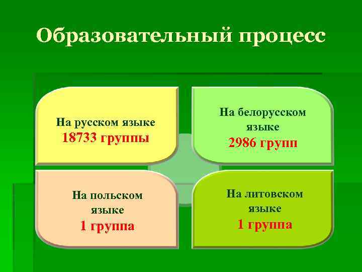 Образовательный процесс На русском языке 18733 группы На польском языке 1 группа На белорусском