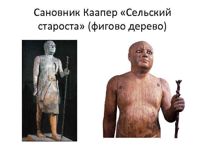 Сановник Каапер «Сельский староста» (фигово дерево) 