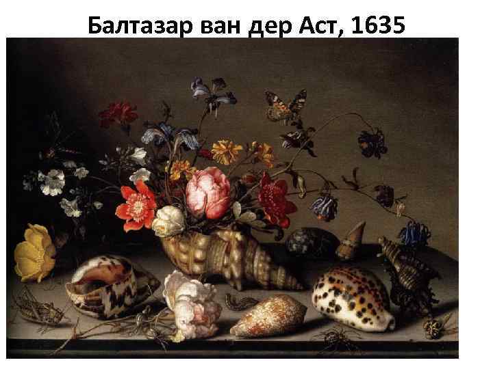 Балтазар ван дер Аст, 1635 