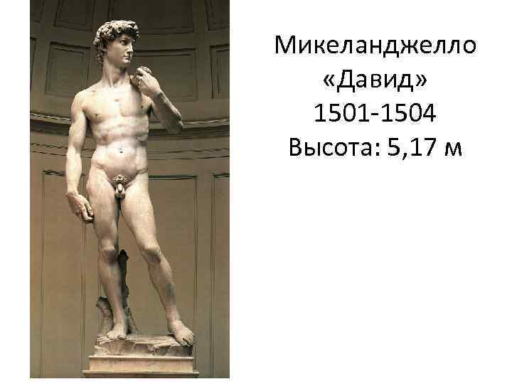 Микеланджелло «Давид» 1501 -1504 Высота: 5, 17 м 