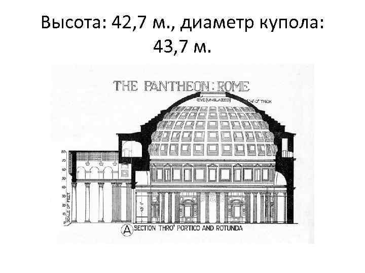 Высота: 42, 7 м. , диаметр купола: 43, 7 м. 
