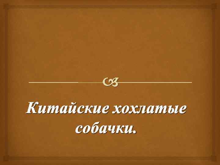  Китайские хохлатые собачки. 