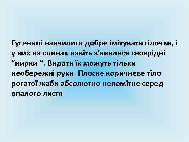 Гусениці навчилися добре імітувати гілочки, і у них на спинах навіть з'явилися своєрідні “нирки