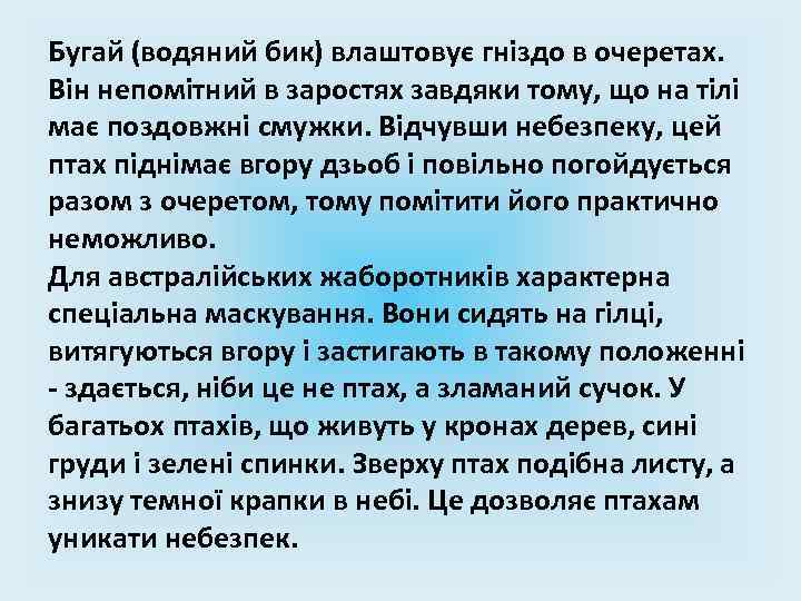 Бугай (водяний бик) влаштовує гніздо в очеретах. Він непомітний в заростях завдяки тому, що