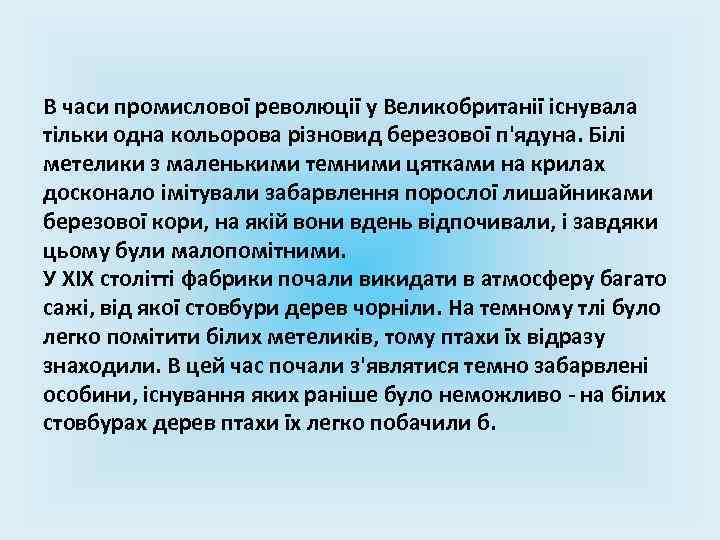 В часи промислової революції у Великобританії існувала тільки одна кольорова різновид березової п'ядуна. Білі