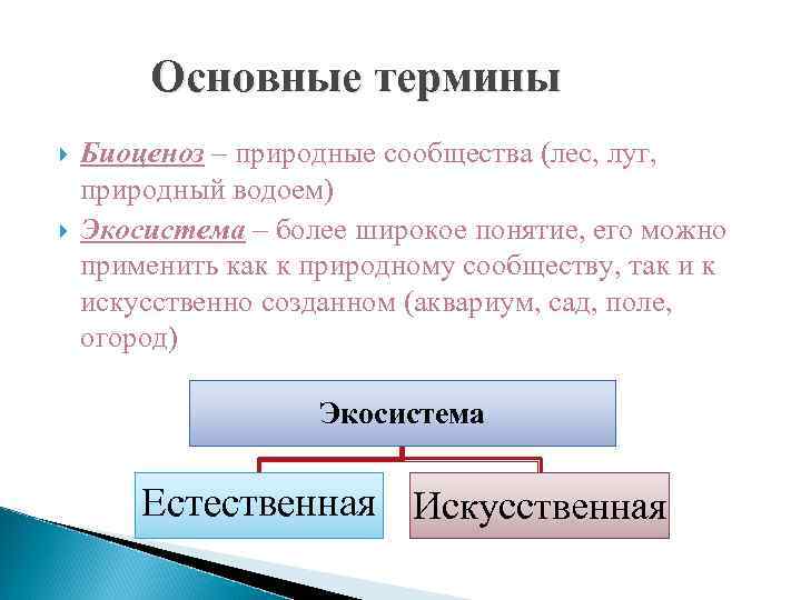 Основные термины Биоценоз – природные сообщества (лес, луг, природный водоем) Экосистема – более широкое
