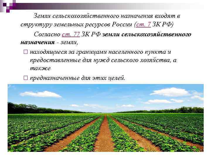 Земли сельскохозяйственного назначения входят в структуру земельных ресурсов России (ст. 7 ЗК РФ) Согласно