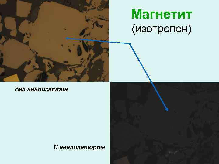 Магнетит (изотропен) Без анализатора С анализатором 