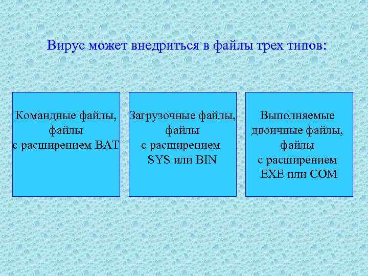 Специально написанная программа основное назначение которой нанести вред компьютерной системе