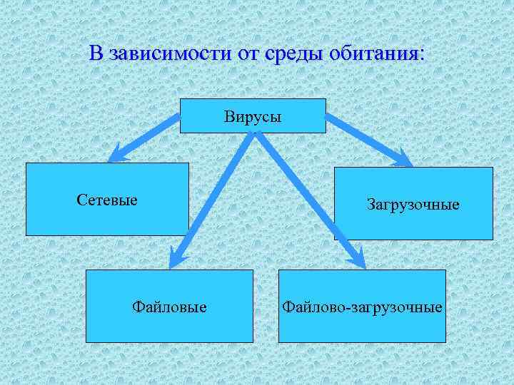 Специально написанная программа основное назначение которой нанести вред компьютерной системе