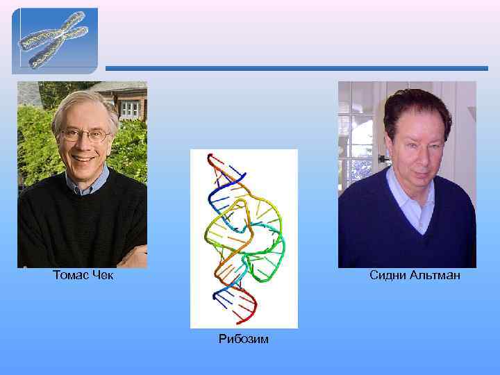 Томас Чек Сидни Альтман Рибозим 