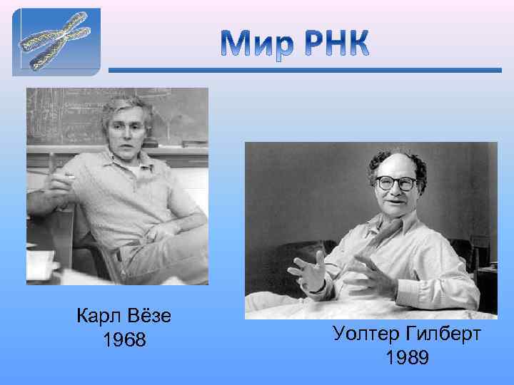 Карл Вёзе 1968 Уолтер Гилберт 1989 