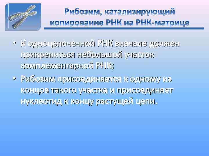  • К одноцепочечной РНК вначале должен прикрепиться небольшой участок комплементарной РНК; • Рибозим