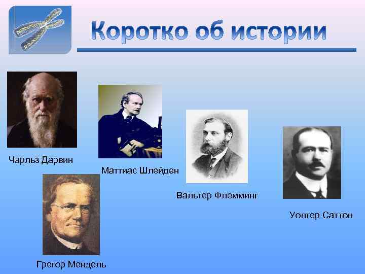 Чарльз Дарвин Маттиас Шлейден Вальтер Флемминг Уолтер Саттон Грегор Мендель 