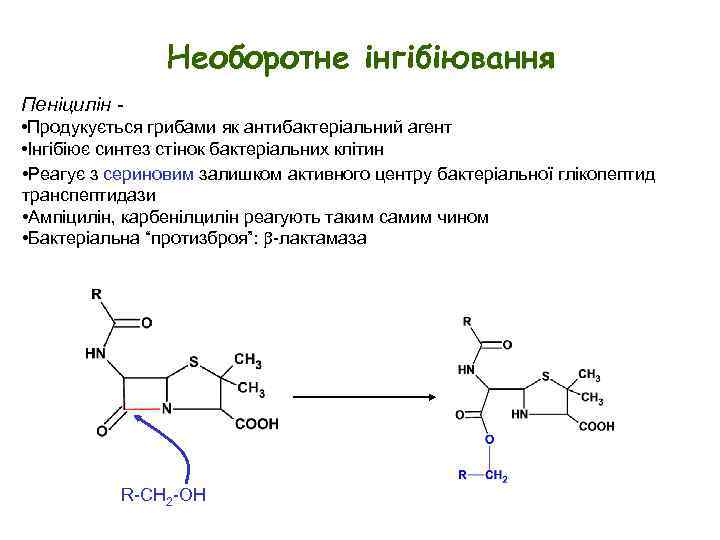 Необоротне інгібіювання Пеніцилін • Продукується грибами як антибактеріальний агент • Інгібіює синтез стінок бактеріальних