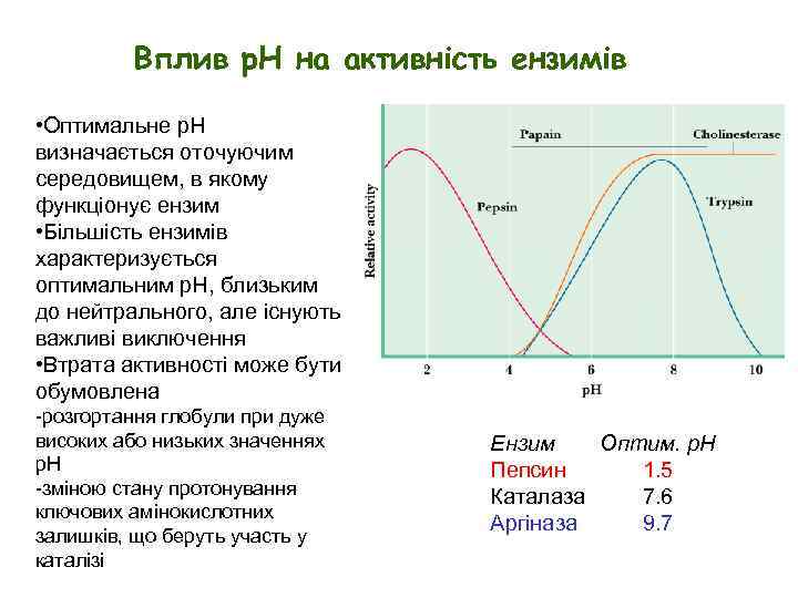 Вплив р. Н на активність ензимів • Оптимальне p. H визначається оточуючим середовищем, в