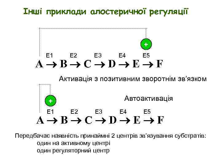 Інші приклади алостеричної регуляції + E 1 E 2 E 3 E 4 E