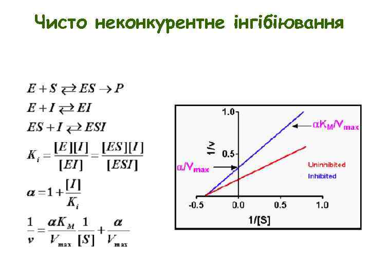 Чисто неконкурентне інгібіювання 