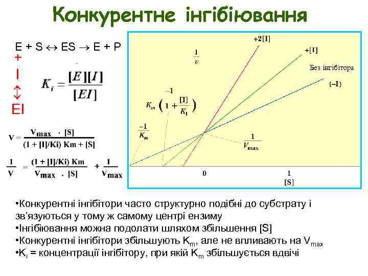 Конкурентне інгібіювання E + S E + P + I Без інгібітора EI •