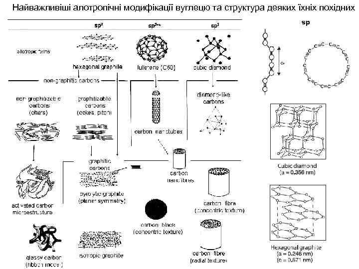 Найважливіші алотропічні модифікації вуглецю та структура деяких їхніх похідних sp 