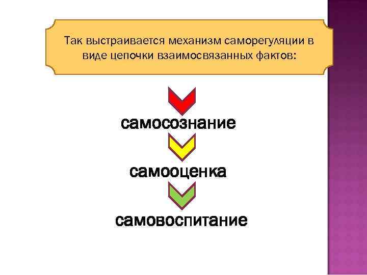 Так выстраивается механизм саморегуляции в виде цепочки взаимосвязанных фактов: самосознание самооценка самовоспитание 