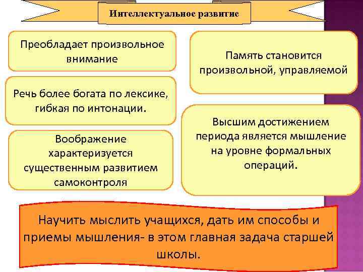 Интеллектуальное развитие Преобладает произвольное внимание Речь более богата по лексике, гибкая по интонации. Воображение