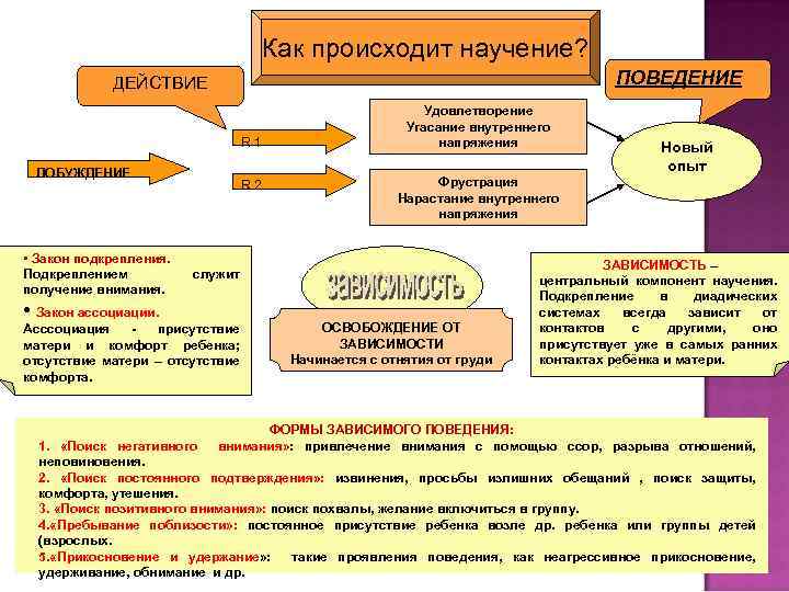 Как происходит научение? ПОВЕДЕНИЕ ДЕЙСТВИЕ R 1 ПОБУЖДЕНИЕ • Закон подкрепления. Подкреплением получение внимания.