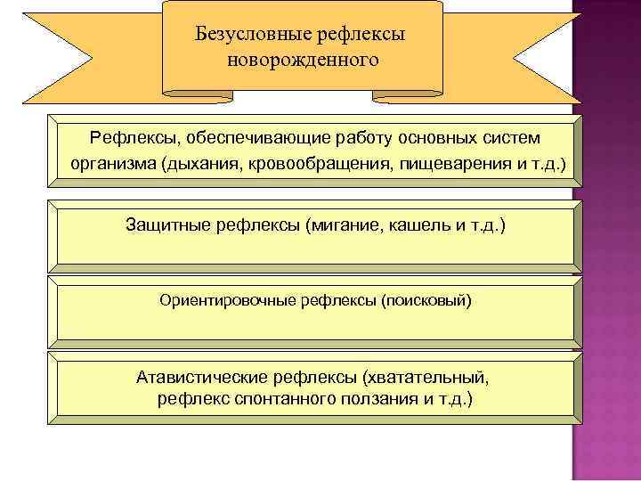 Безусловные рефлексы новорожденного Рефлексы, обеспечивающие работу основных систем организма (дыхания, кровообращения, пищеварения и т.