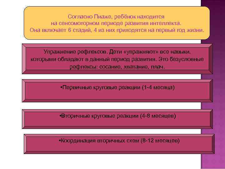 Согласно Пиаже, ребёнок находится на сенсомоторном периоде развития интеллекта. Она включает 6 стадий, 4