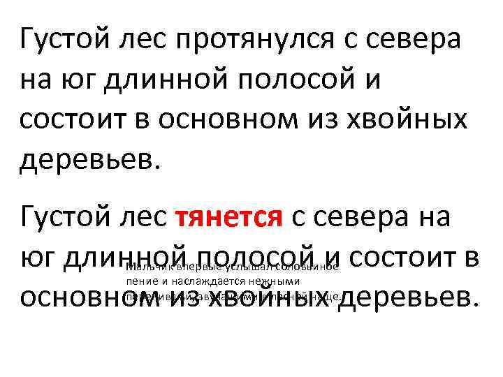 Густой лес протянулся с севера на юг длинной полосой и состоит в основном из