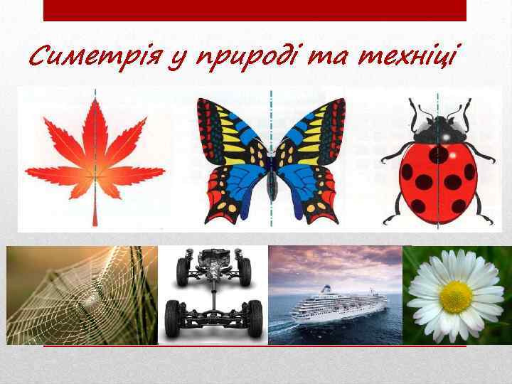 Симетрія у природі та техніці 