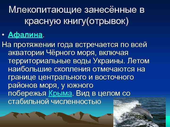 Млекопитающие занесённые в красную книгу(отрывок) • Афалина. На протяжении года встречается по всей акватории