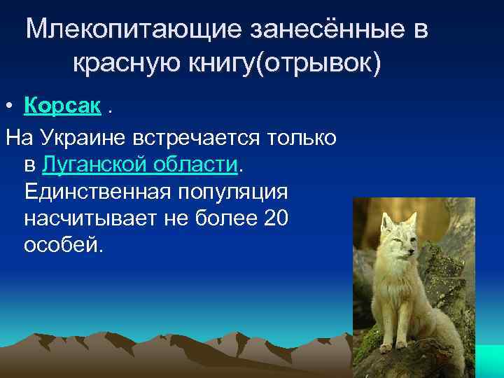 Млекопитающие занесённые в красную книгу(отрывок) • Корсак. На Украине встречается только в Луганской области.