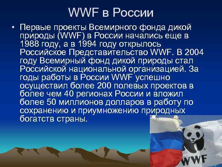 WWF в России • Первые проекты Всемирного фонда дикой природы (WWF) в России начались