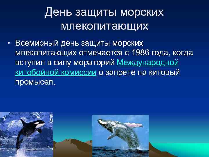 День защиты морских млекопитающих • Всемирный день защиты морских млекопитающих отмечается с 1986 года,