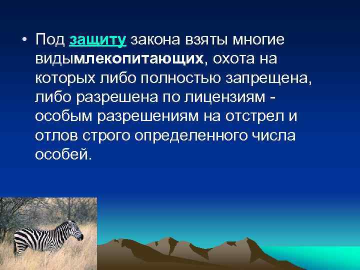  • Под защиту закона взяты многие видымлекопитающих, охота на которых либо полностью запрещена,