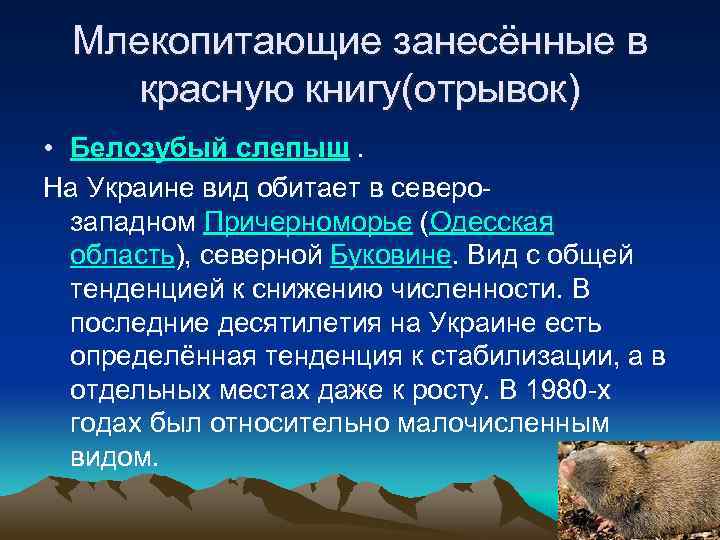 Млекопитающие занесённые в красную книгу(отрывок) • Белозубый слепыш. На Украине вид обитает в северозападном