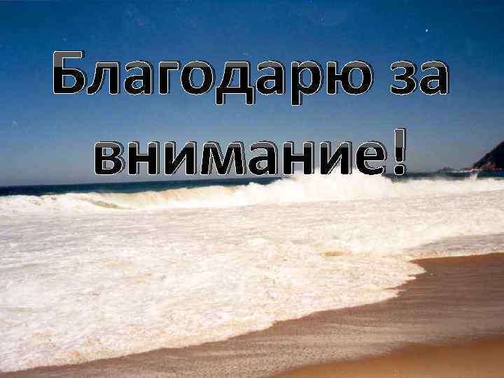 Благодарю за внимание! 