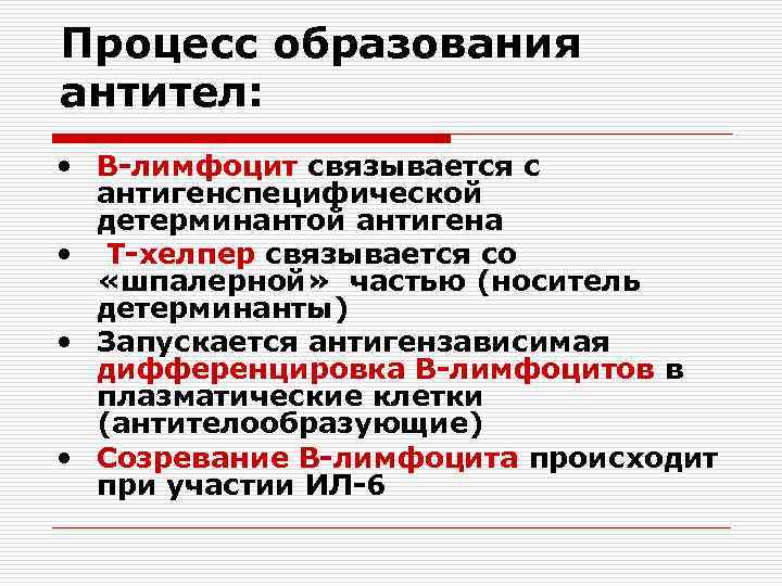 Процесс образования антител: • В-лимфоцит связывается с антигенспецифической детерминантой антигена • Т-хелпер связывается со