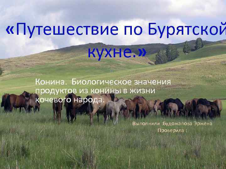  «Путешествие по Бурятской кухне. » « Конина. Биологическое значения продуктов из конины в