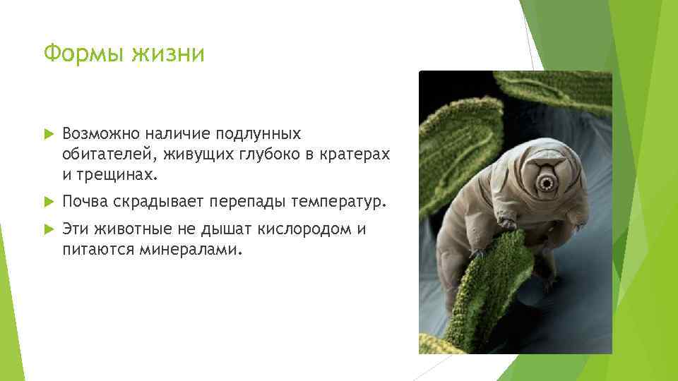 Формы жизни Возможно наличие подлунных обитателей, живущих глубоко в кратерах и трещинах. Почва скрадывает