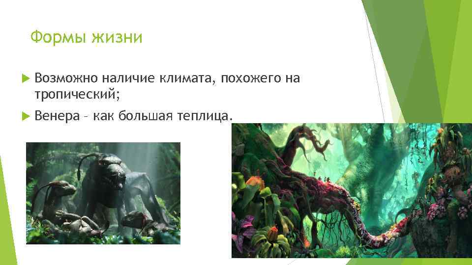 Формы жизни Возможно наличие климата, похожего на тропический; Венера – как большая теплица. 
