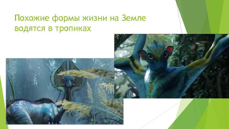 Похожие формы жизни на Земле водятся в тропиках 