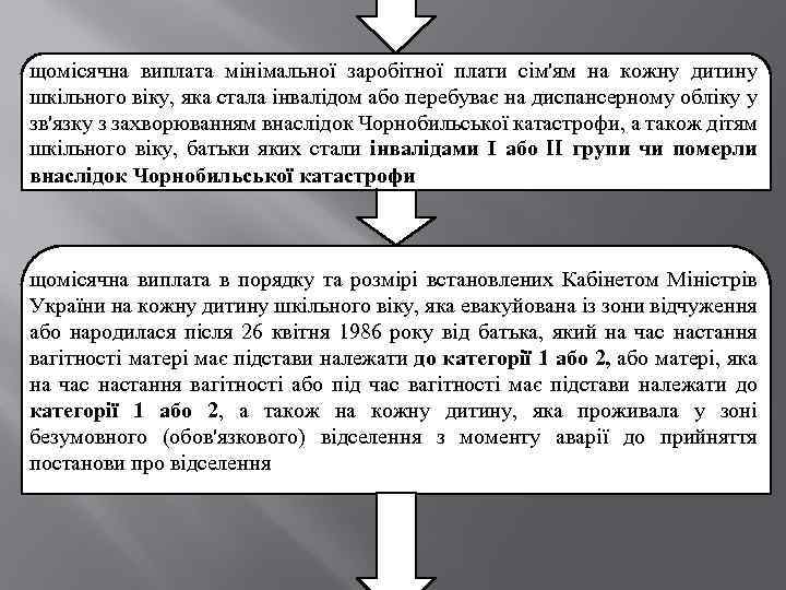 щомісячна виплата мінімальної заробітної плати сім'ям на кожну дитину шкільного віку, яка стала інвалідом